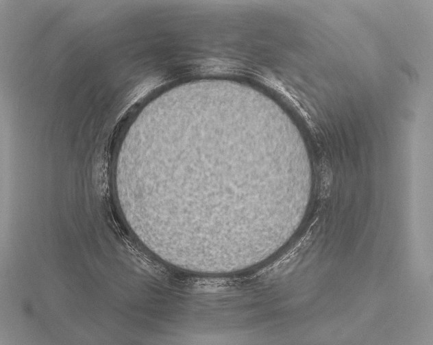 X0000115641211200912081057