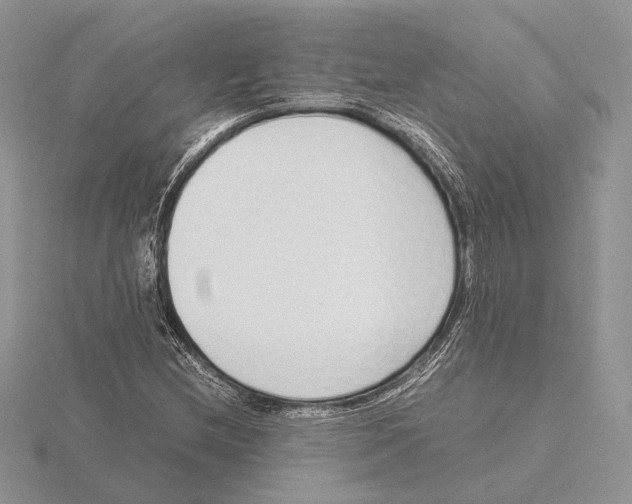 X0000115641212200912081057