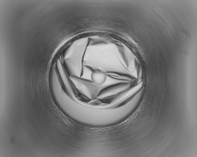 X0000115641216200912081057