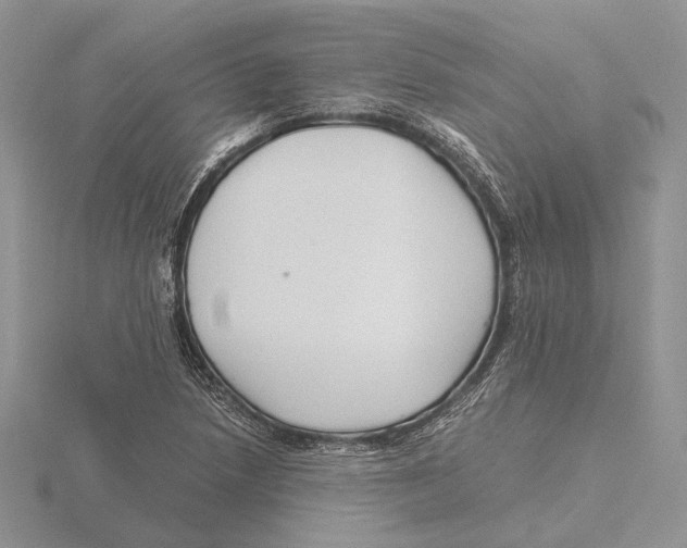 X0000115641218200912081057