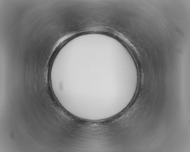 X0000115641222200912081057