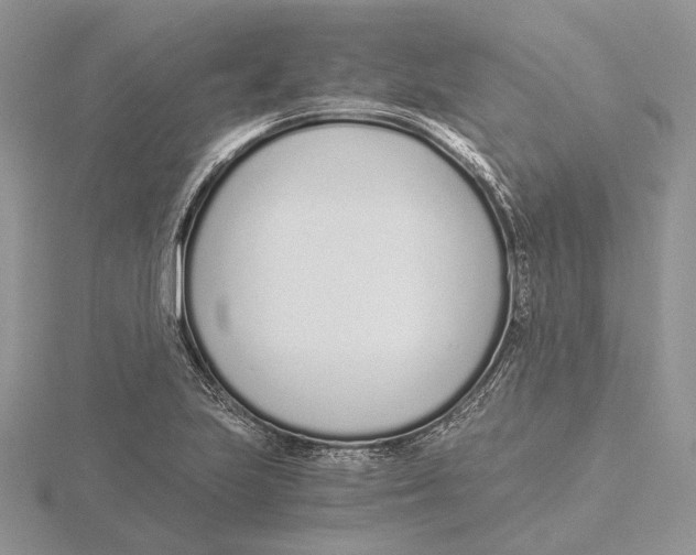 X0000115641223200912081057