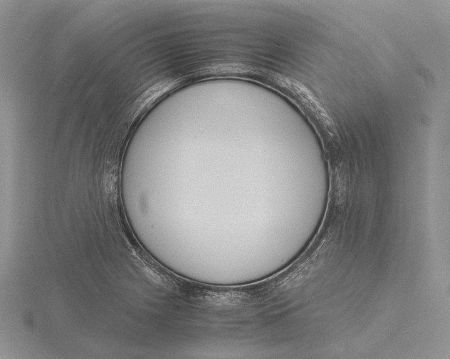 X0000115641225200912081057