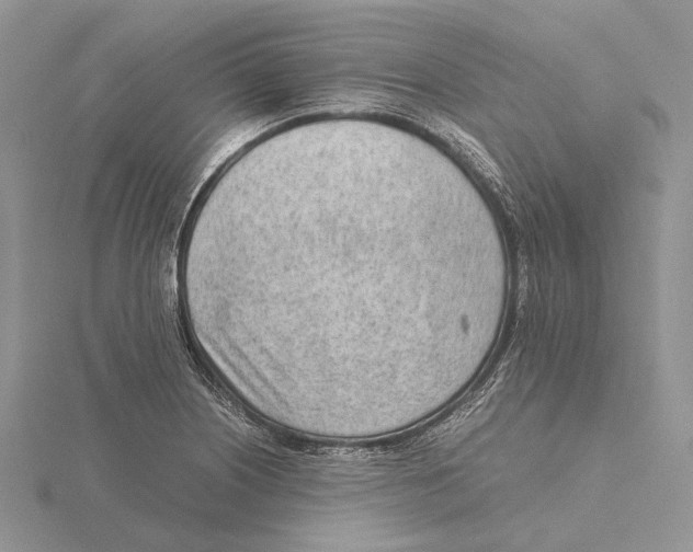 X0000115641226200912081057