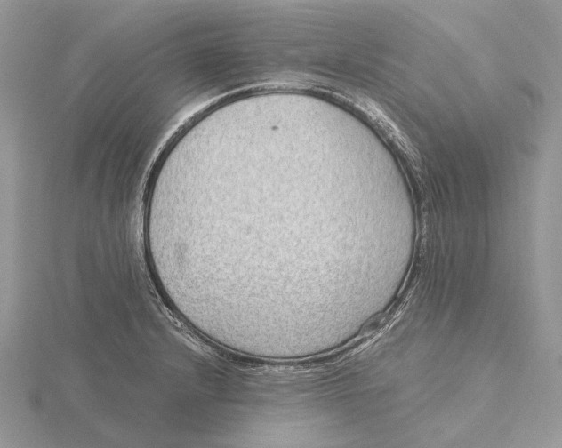 X0000115641232200912081057