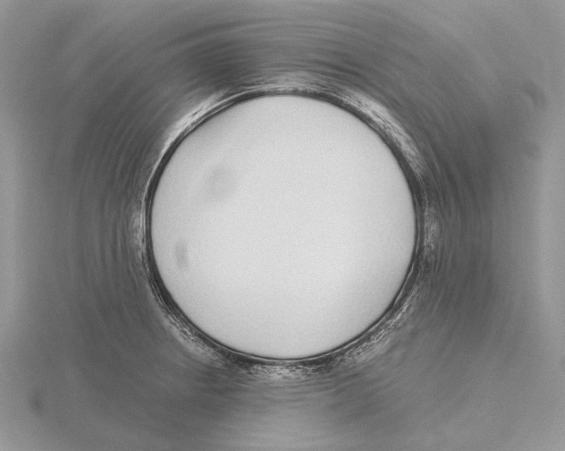 X0000115641234200912081057