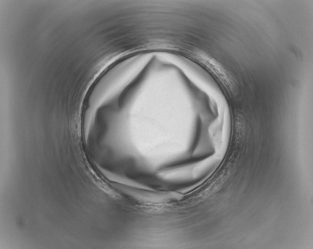 X0000115641236200912081057