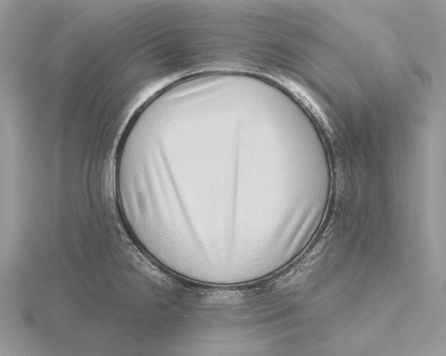 X0000115641238200912081058