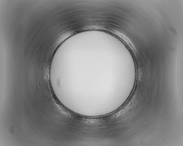 X0000115641241200912081058