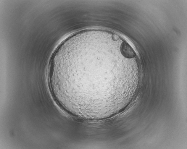 X0000115641245200912081058