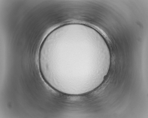 X0000115641247200912081058