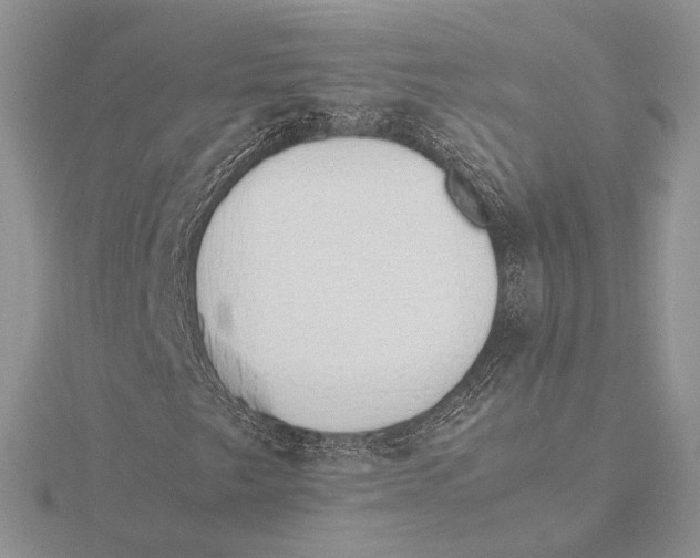 X0000115641249200912081057