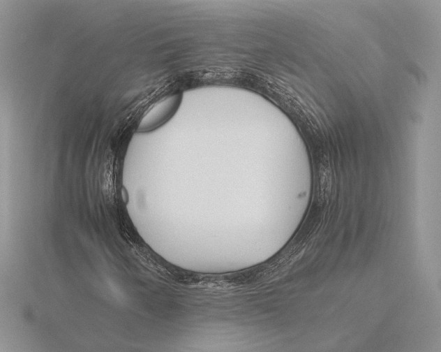 X0000115641250200912081057