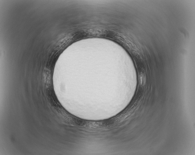X0000115641251200912081057