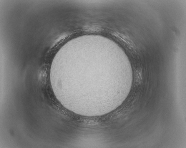 X0000115641254200912081057