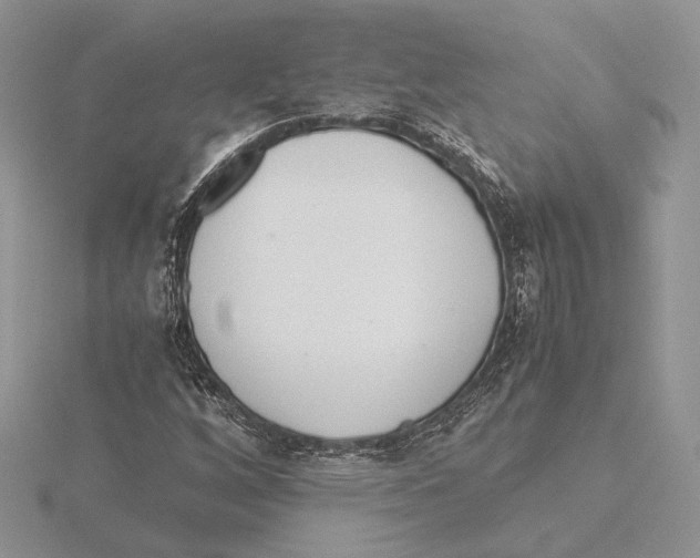 X0000115641256200912081057