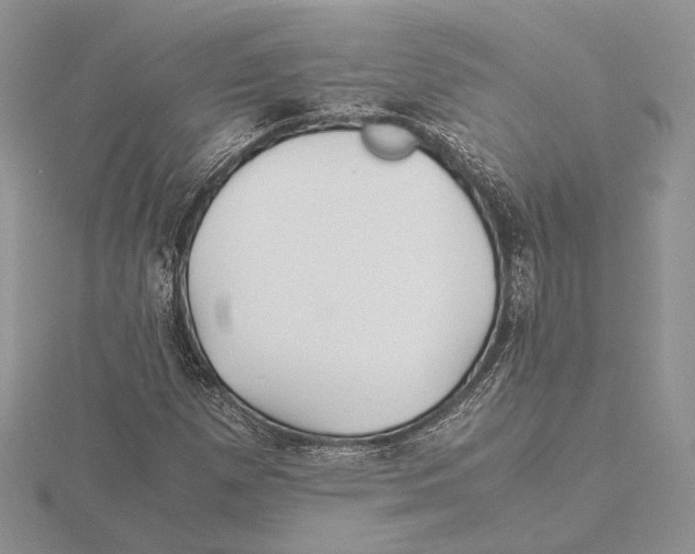 X0000115641257200912081057