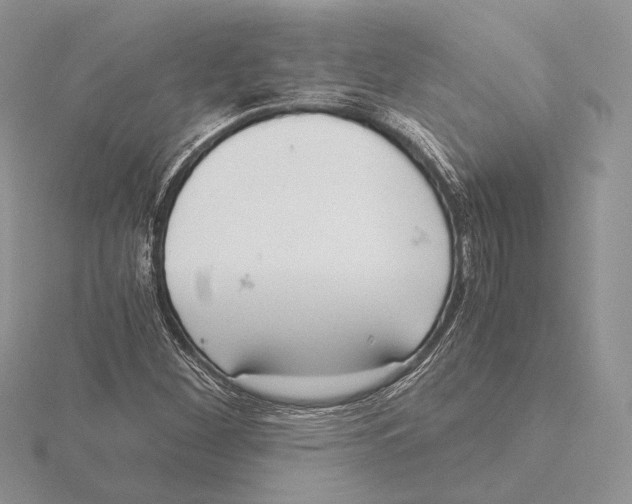 X0000115641260200912081057