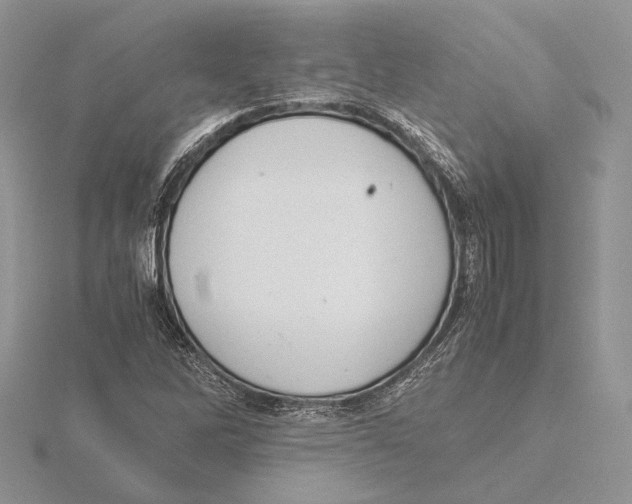 X0000115641262200912081057