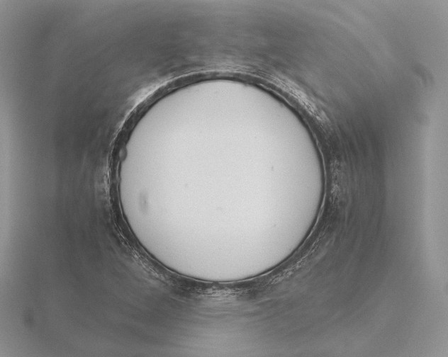X0000115641264200912081057