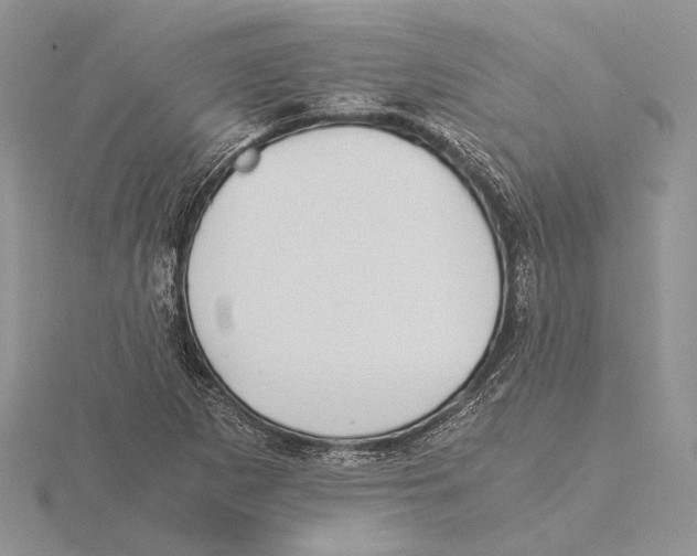 X0000115641265200912081057