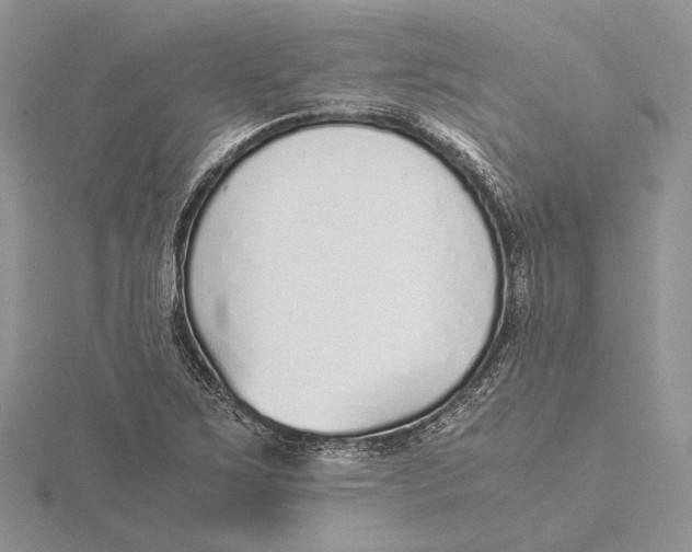 X0000115641267200912081057