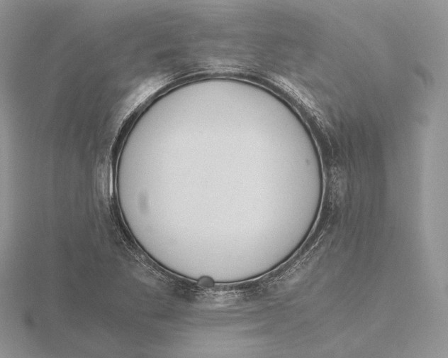 X0000115641269200912081057