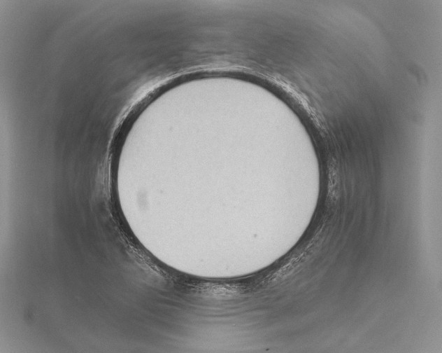 X0000115641270200912081057