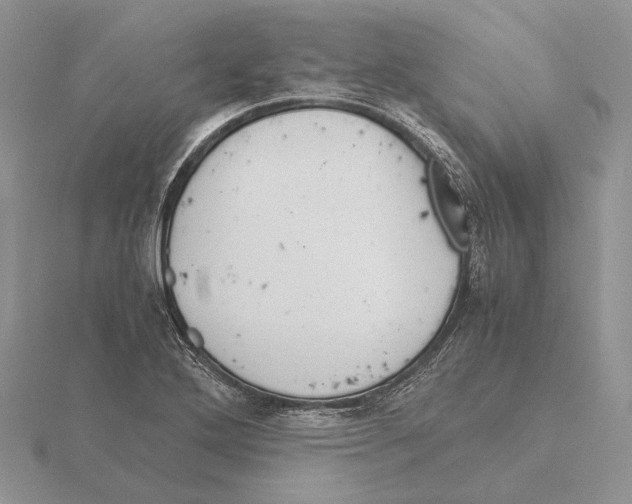 X0000115641272200912081057