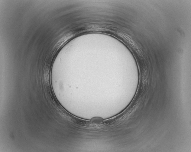 X0000115641273200912081057
