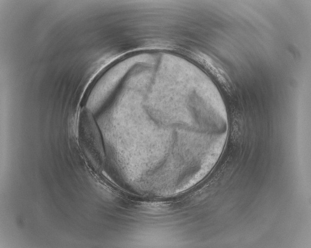 X0000115641276200912081057