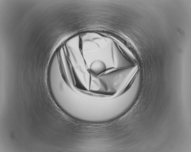 X0000115641277200912081057