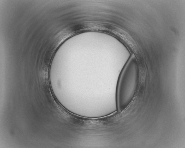 X0000115641281200912081057