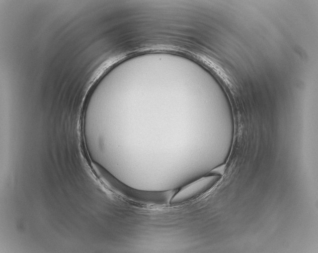 X0000115641282200912081057
