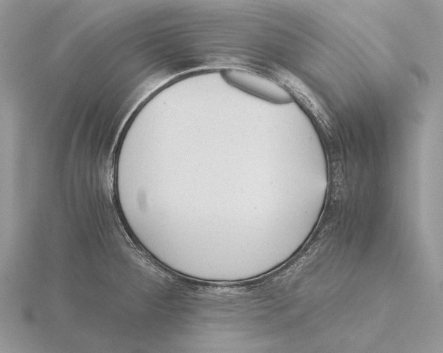 X0000115641284200912081057