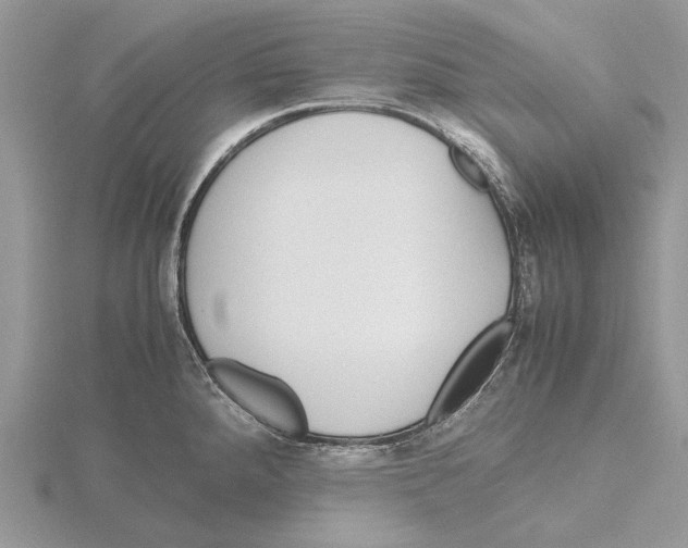 X0000115641288200912081057