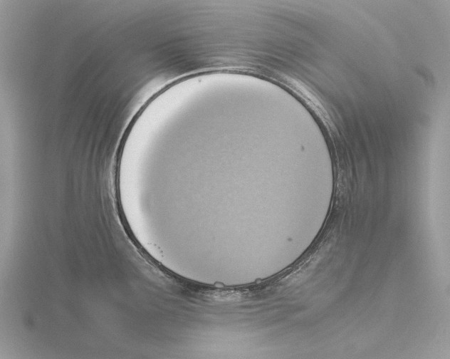 X0000115641291200912081056