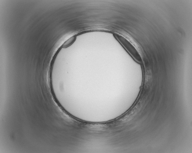 X0000115641293200912081056