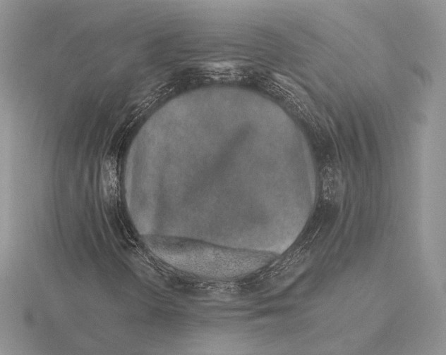 X0000115641298200912081056