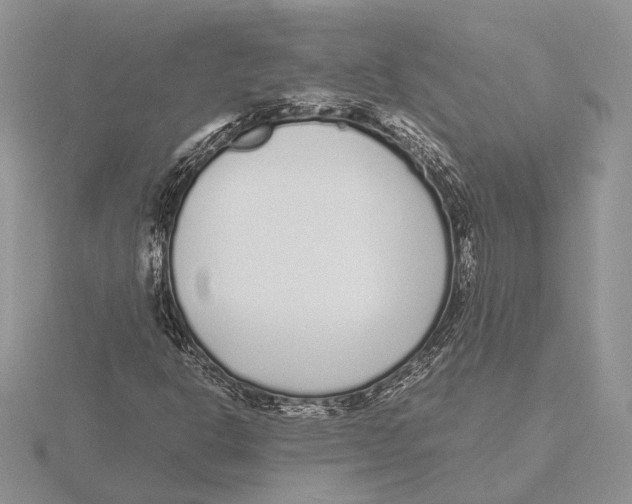 X0000115641302200912081056