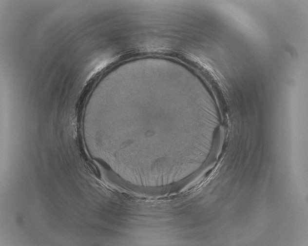 X0000115641306200912081056