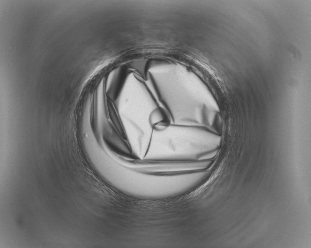 X0000115641309200912081056