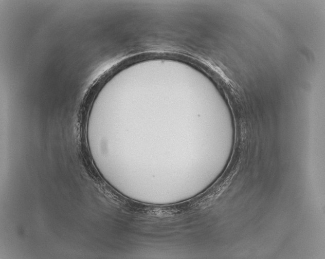X0000115641311200912081056