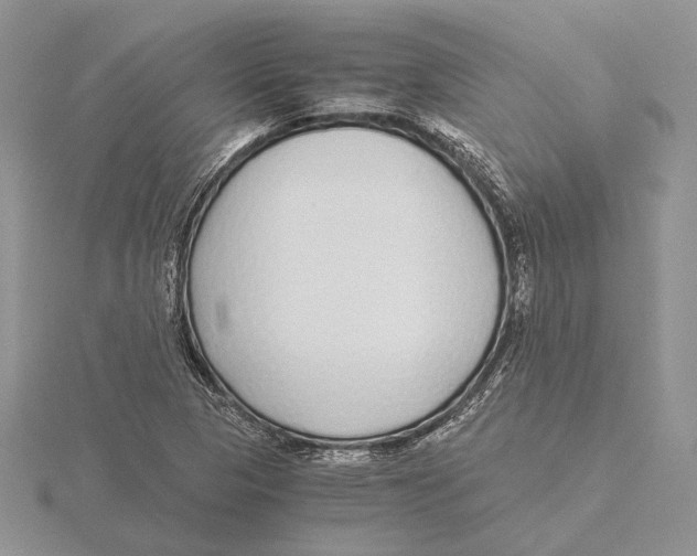 X0000115641313200912081056