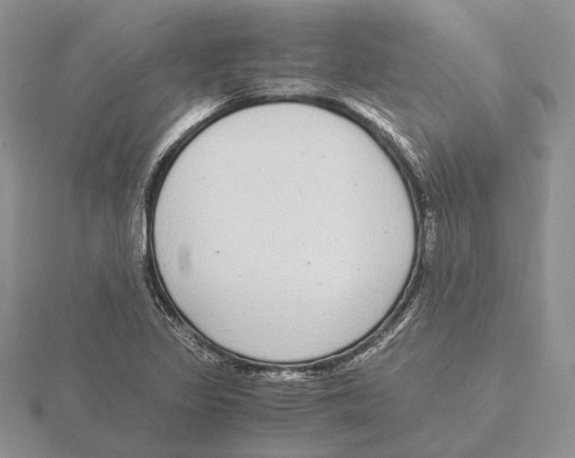 X0000115641317200912081056
