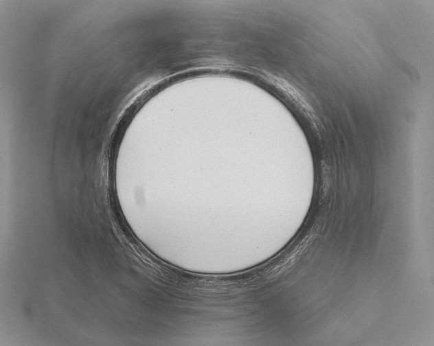 X0000115641318200912081056