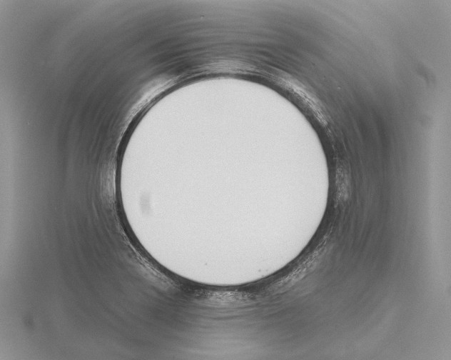 X0000115641322200912081056