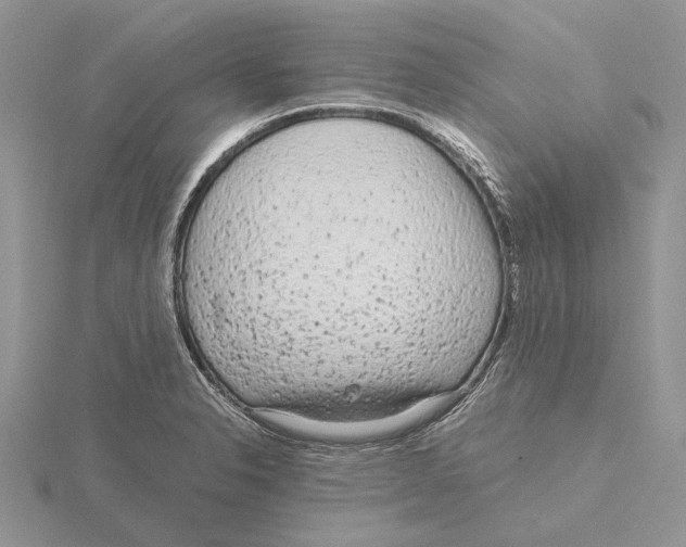 X0000115641326200912081056