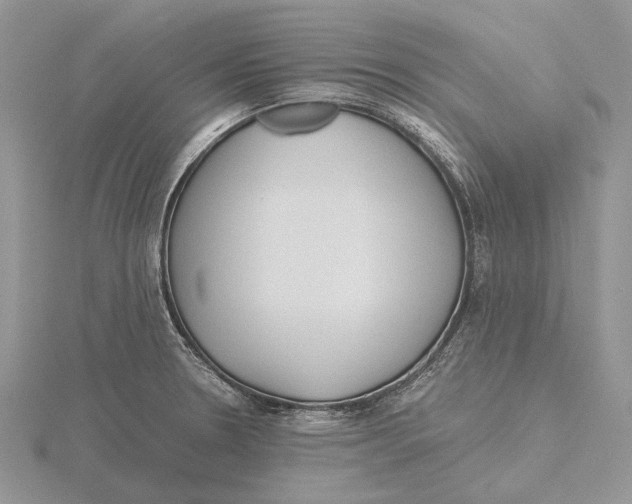 X0000115641330200912081056