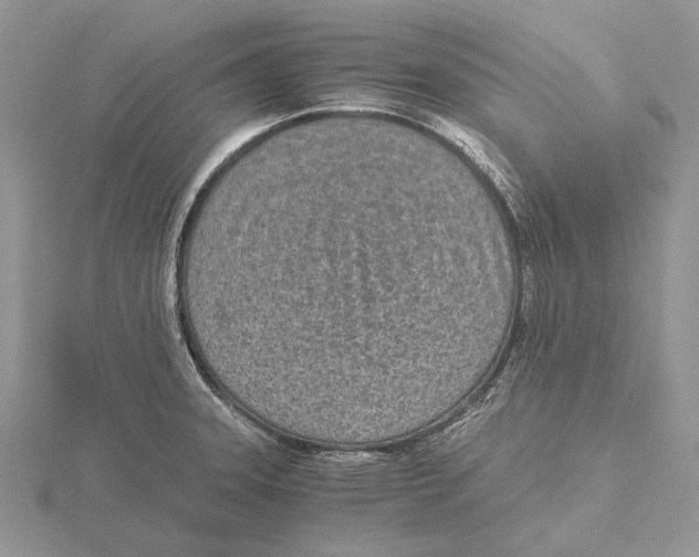 X0000115641331200912081056